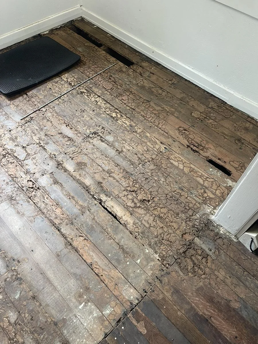 Termite floor damage in Rockhampton home