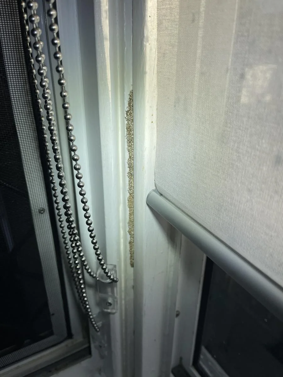 Termite damage to window frame timber